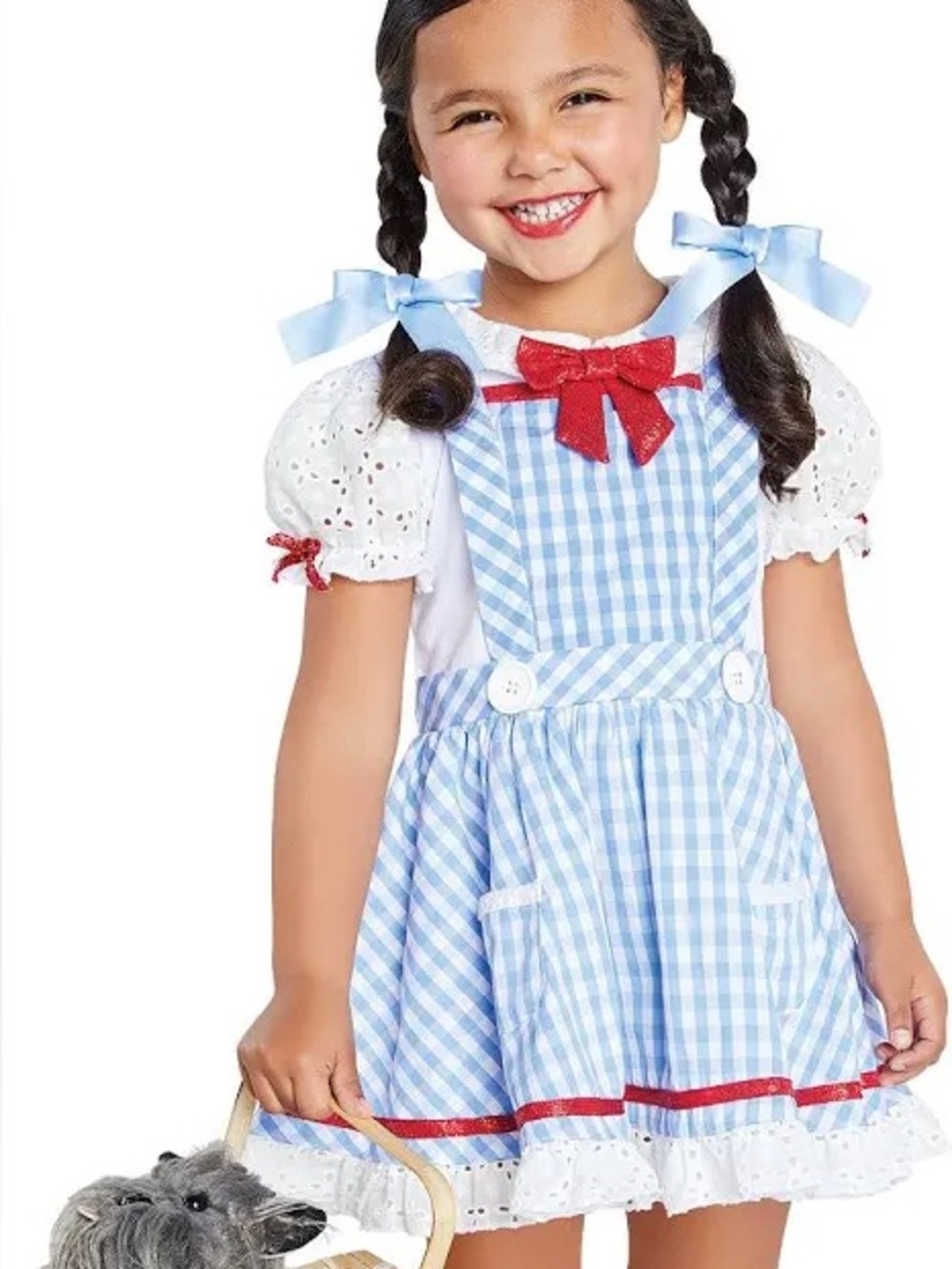 Dorothy Costume - The Wizard of Oz